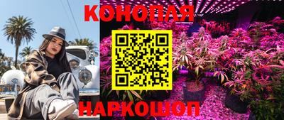 тгк Малгобек