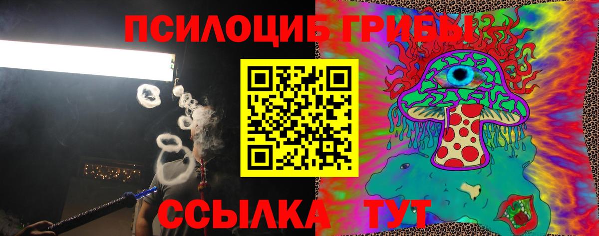Советский  купить наркотик  Вход с VPN  Галлюциногенные грибы Psilocybe 